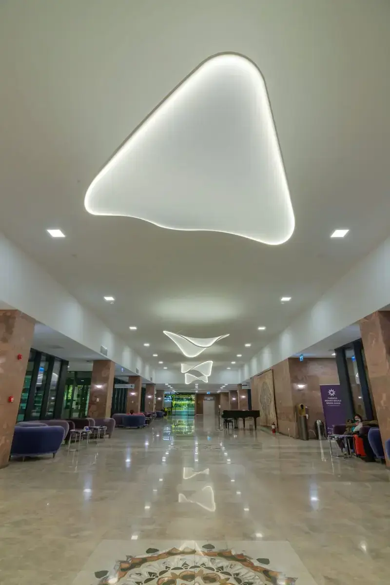 Despre Enayati Medical City 